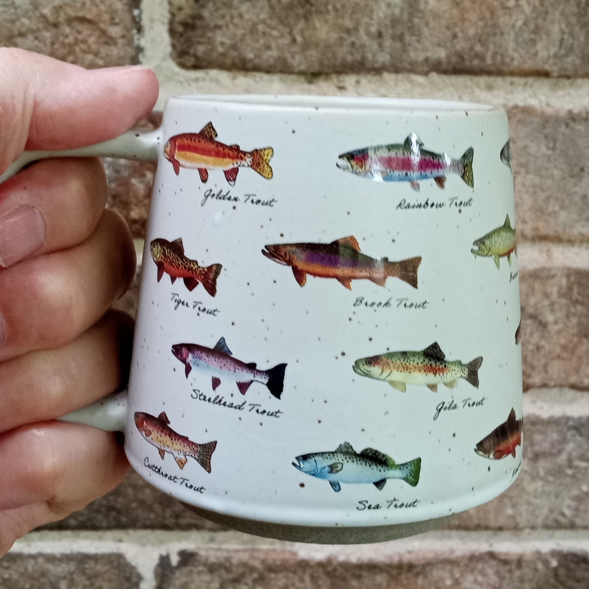 Fishy Fishy Mug