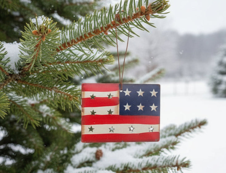 Hand holding a small American flag against a white background