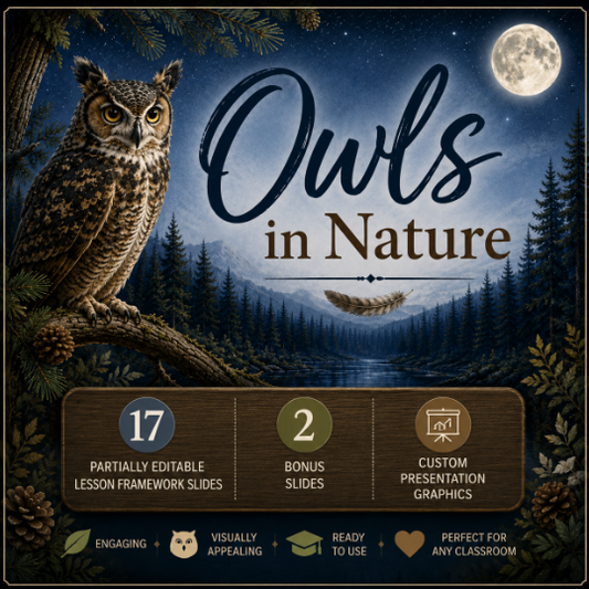 Owls in Nature Lesson Framework Slides Deck