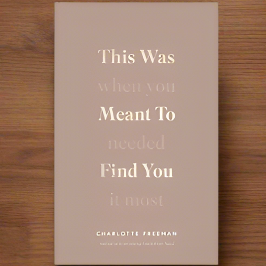 This Was Meant to Find You (When You Needed It Most) by Charlotte Freeman