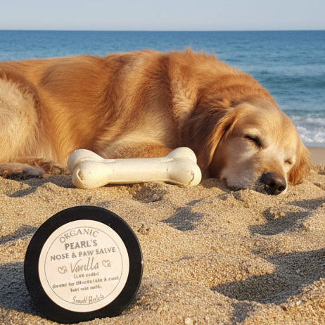 dog sleeping on the beach. Nose and Paw Balm product in front.
